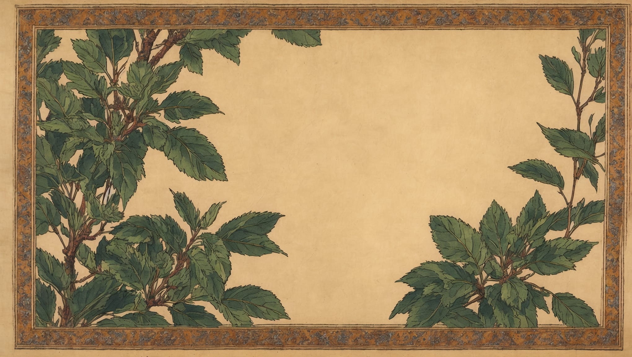 Muhammad — illustration botanique, origine arabe