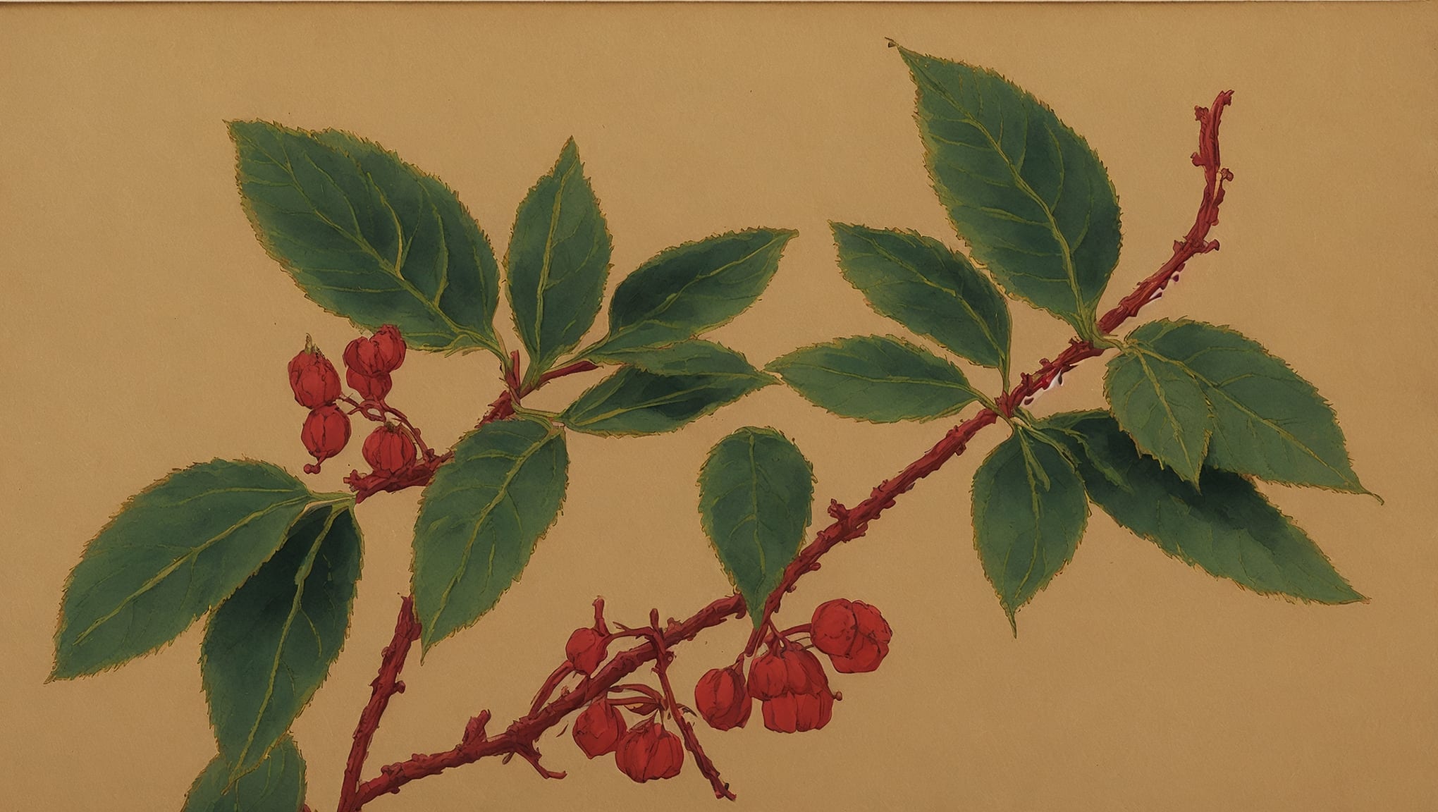Nahyl — illustration botanique, origine arabe